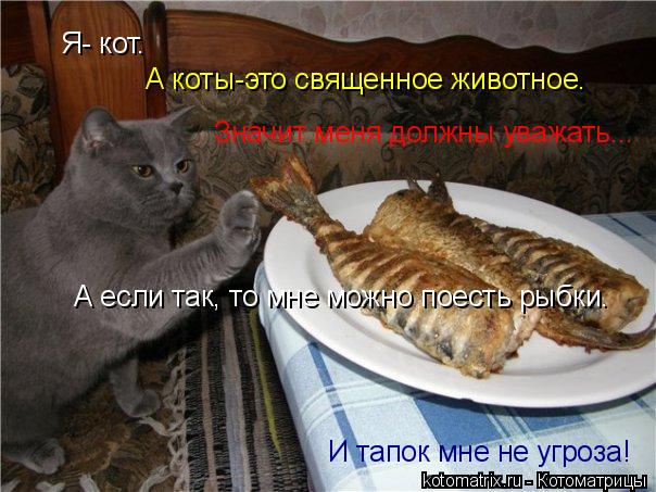 Я- кот. А коты-это священное животное. Значит меня должны уважать... А если так, то мне можно поесть ... Котоматрица: Я- кот. А коты-это священное животное. Значит меня должны уважать... А если так, то мне можно поесть рыбки. И тапок мне не угроза!