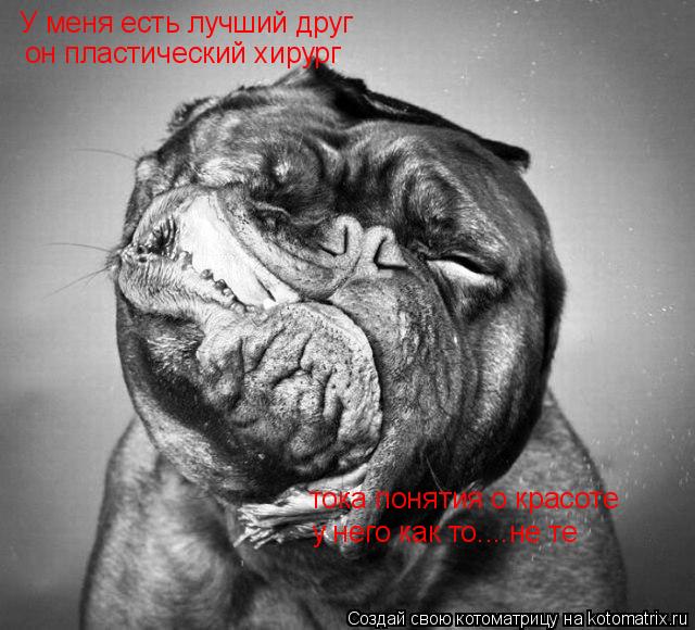 У меня есть лучший друг он пластический хирург тока понятия о красоте у него как то....не те... Котоматрица: У меня есть лучший друг он пластический хирург тока понятия о красоте у него как то....не те