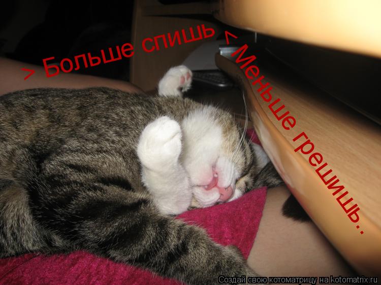 > Больше спишь < Меньше грешишь..... Котоматрица: > Больше спишь < Меньше грешишь..