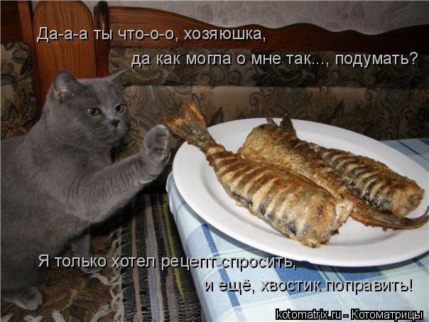 Да-а-а ты что-о-о, хозяюшка, да как могла о мне так..., подумать? Я только хотел рецепт спросить, и е... Котоматрица: Да-а-а ты что-о-о, хозяюшка, да как могла о мне так..., подумать? Я только хотел рецепт спросить, и ещё, хвостик поправить!