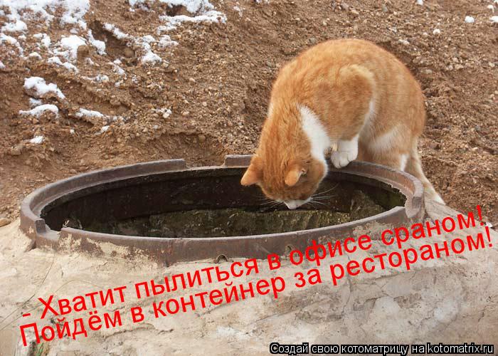 - Хватит пылиться в офисе сраном! Пойдём в контейнер за рестораном!... Котоматрица: - Хватит пылиться в офисе сраном! Пойдём в контейнер за рестораном!