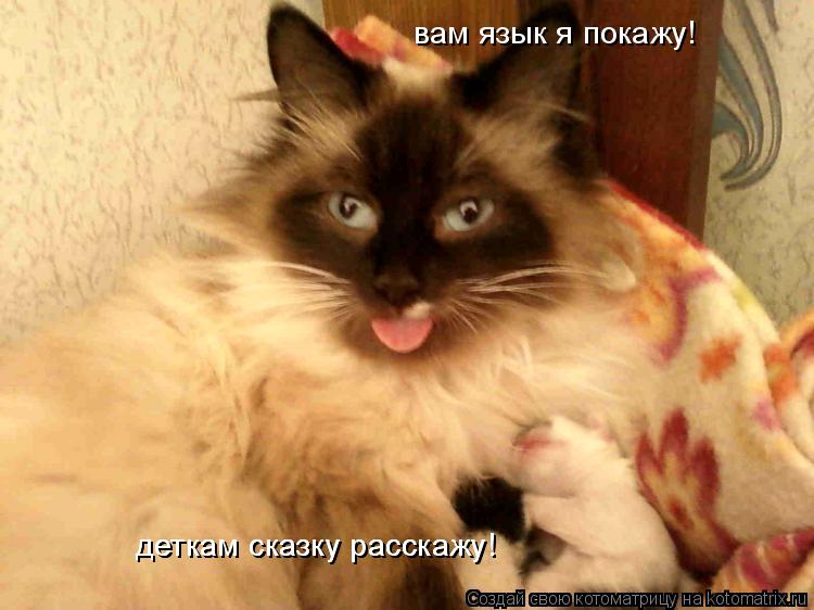 вам язык я покажу! деткам сказку расскажу! деткам сказку расскажу!... Котоматрица: вам язык я покажу! деткам сказку расскажу! деткам сказку расскажу!