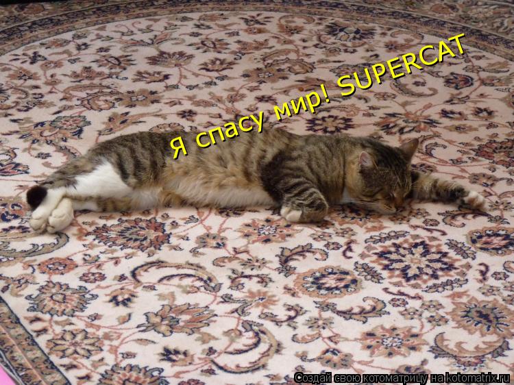 Я спасу мир! SUPERCAT... Котоматрица: Я спасу мир! SUPERCAT