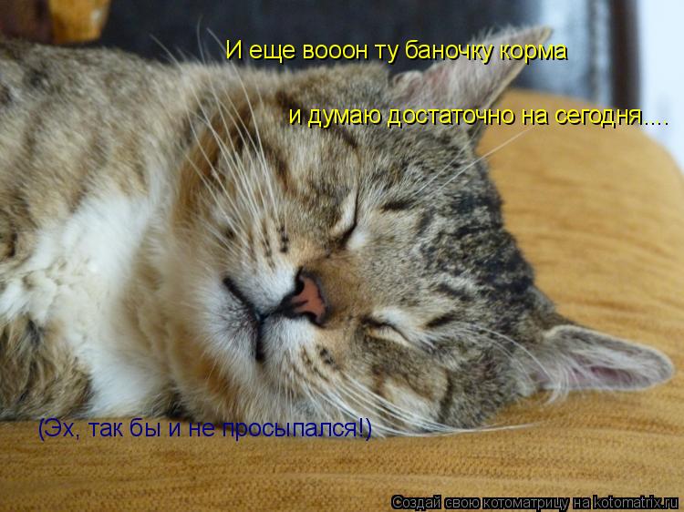 И еще вооон ту баночку корма и думаю достаточно на сегодня.... (Эх, так бы и не просыпался!)... Котоматрица: И еще вооон ту баночку корма и думаю достаточно на сегодня.... (Эх, так бы и не просыпался!)