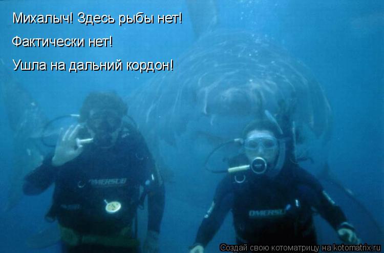 Михалыч! Здесь рыбы нет! Фактически нет! Ушла на дальний кордон!... Котоматрица: Михалыч! Здесь рыбы нет! Фактически нет! Ушла на дальний кордон!