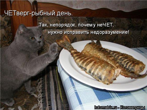Котоматрица: Так, непорядок, почему неЧЕТ,  нужно исправить недоразумение! ЧЕТверг-рыбный день.