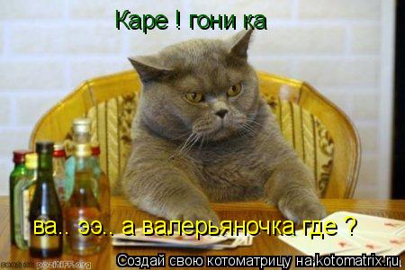 Котоматрица: ва.. ээ.. а валерьяночка где ? Каре ! гони ка