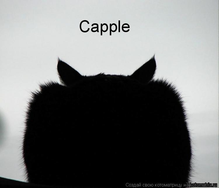 Котоматрица: Capple