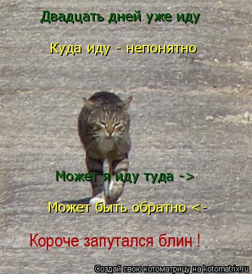 Котоматрица: Двадцать дней уже иду Куда иду - непонятно Может я иду туда -> Может быть обратно <- Короче запутался блин !