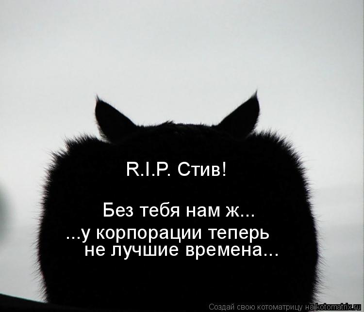 Котоматрица: R.I.P. Стив! Без тебя нам ж... не лучшие времена... ...у корпорации теперь
