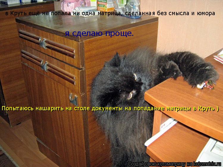 Котоматрица: в Круть ещё не попала ни одна матрица, сделанная без смысла и юмора я сделаю проще. Попытаюсь нашарить на столе документы на попадание матри