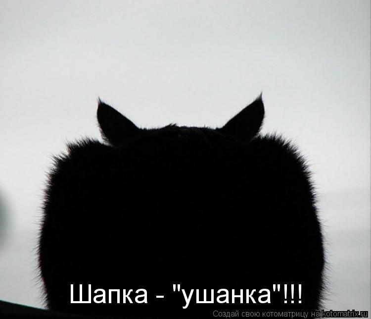 Котоматрица: Шапка - "ушанка"!!!