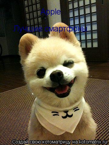 Котоматрица: Apple Лучшие смартфоны.