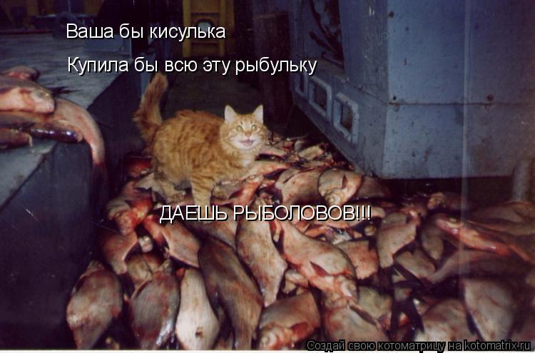 Котоматрица: Ваша бы кисулька Купила бы всю эту рыбульку ДАЕШЬ РЫБОЛОВОВ!!!