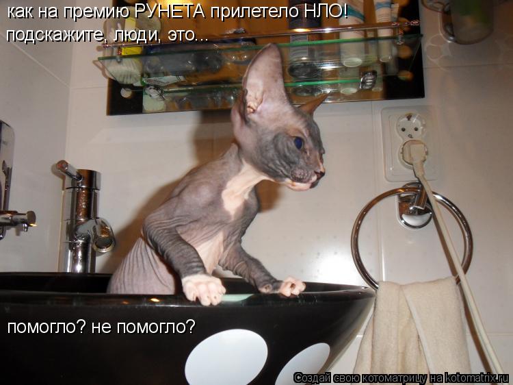 Котоматрица: как на премию РУНЕТА прилетело НЛО! подскажите, люди, это... помогло? не помогло?