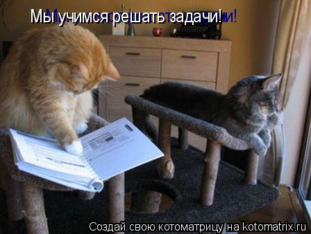 Котоматрица: Мы учимся решать задачи! Мы учимся решать задачи!