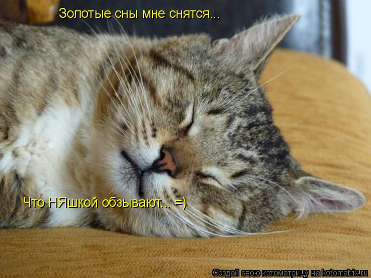 Котоматрица: Золотые сны мне снятся... Что НЯшкой обзывают... =)