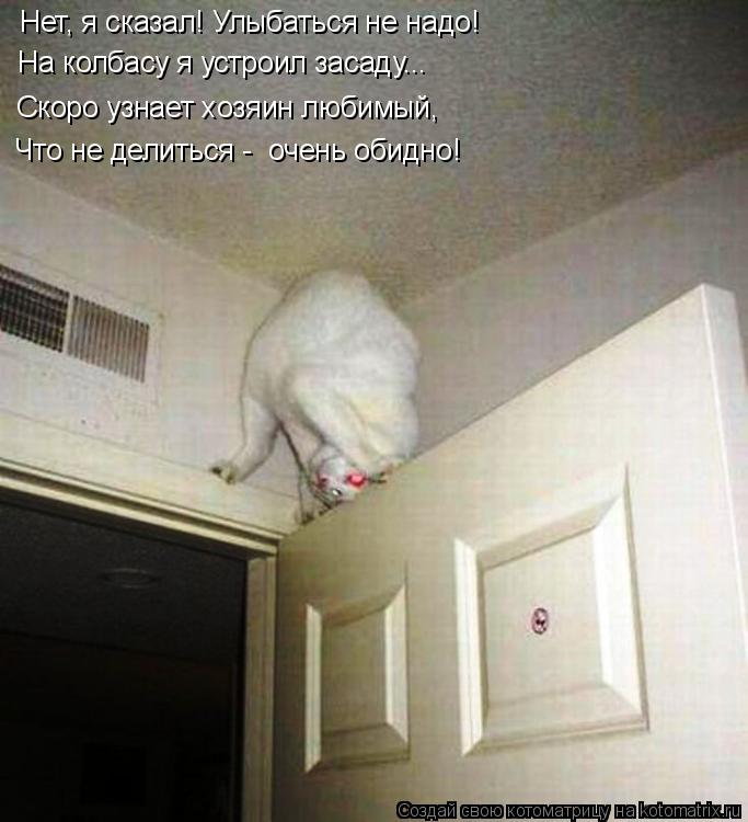 Котоматрица: Нет, я сказал! Улыбаться не надо! На колбасу я устроил засаду... Скоро узнает хозяин любимый, Что не делиться -  очень обидно!