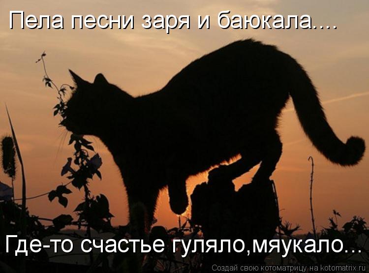 Пела песни заря и баюкала.... Где-то счастье гуляло,мяукало...... Котоматрица: Пела песни заря и баюкала.... Где-то счастье гуляло,мяукало...