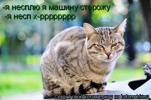 Котоматрица: -я несплю я машину сторожу -я несп х-рррррррр
