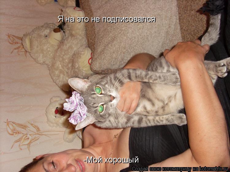 Котоматрица: Я на это не подписовался -Мой хорошый