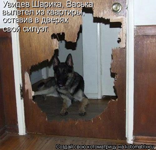 Котоматрица: Увидев Шарика, Васька  вылетел из квартиры, оставив в дверях свой силуэт.