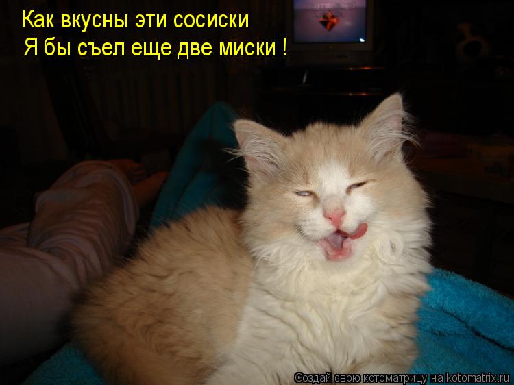 Котоматрица: Как вкусны эти сосиски Я бы съел еще две миски !