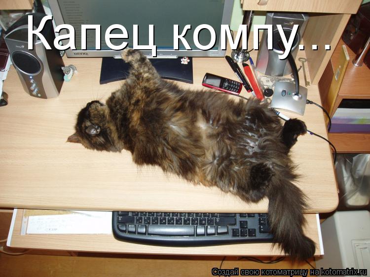 Капец компу...... Котоматрица: Капец компу...