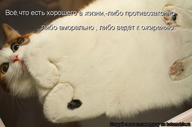 Всё,что есть хорошего в жизни,-либо противозаконно ,,либо аморально , либо ведёт к ожирению... Котоматрица: Всё,что есть хорошего в жизни,-либо противозаконно ,,либо аморально , либо ведёт к ожирению