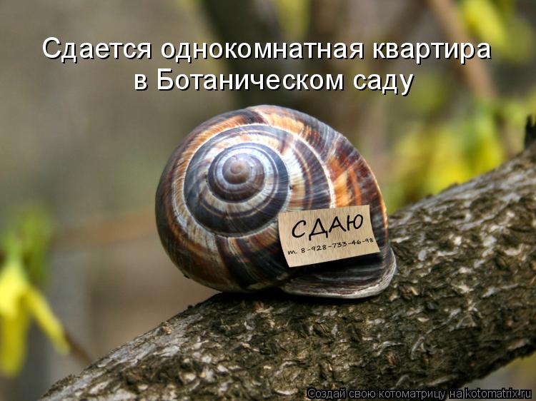 Котоматрица: Сдается однокомнатная квартира  в Ботаническом саду