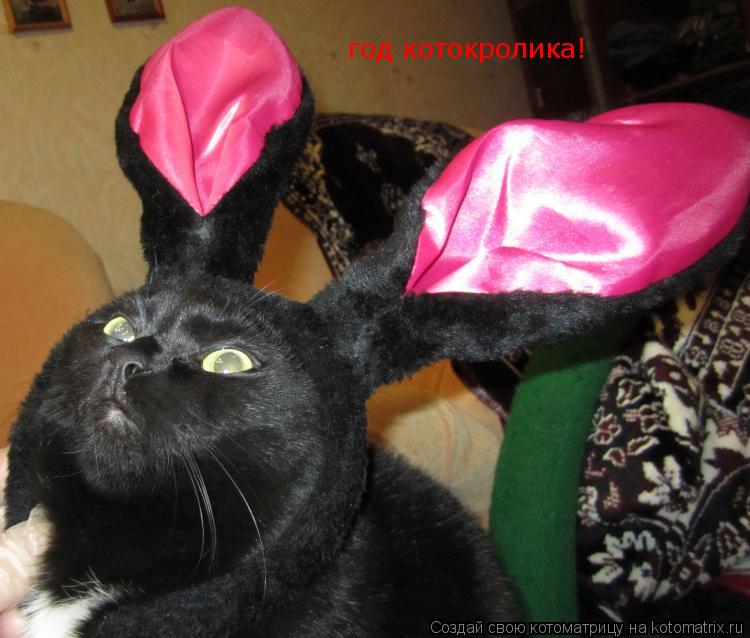 Котоматрица: год котокролика!