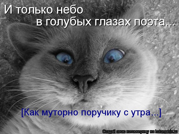 Котоматрица: [Как муторно поручику с утра...] И только небо в голубых глазах поэта...