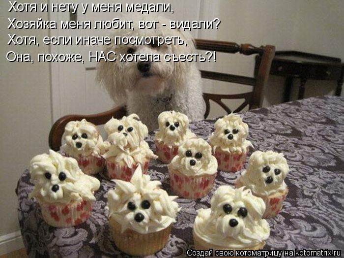 Котоматрица: Хотя и нету у меня медали, Хозяйка меня любит, вот - видали? Хотя, если иначе посмотреть, Она, похоже, НАС хотела съесть?!
