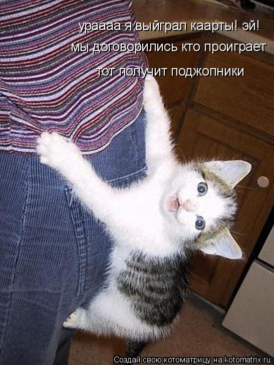 Котоматрица: ураааа я выйграл каарты! эй! мы договорились кто проиграет  тот получит поджопники