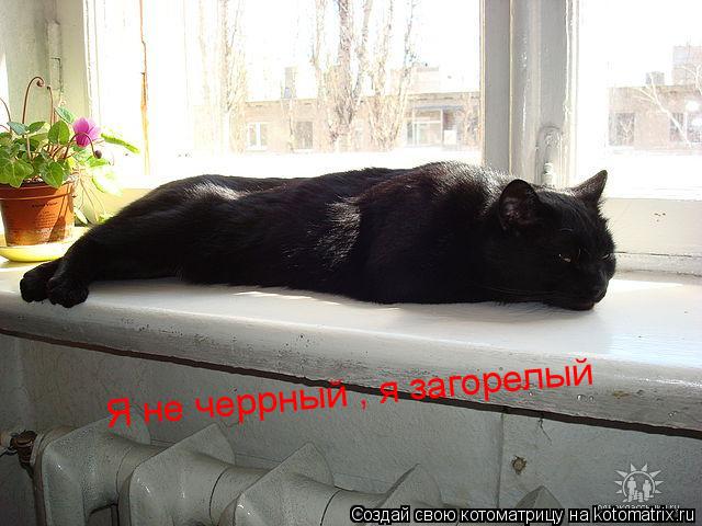 Я не черрный , я загорелый... Котоматрица: Я не черрный , я загорелый