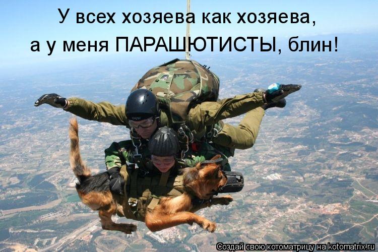 У всех хозяева как хозяева, а у меня ПАРАШЮТИСТЫ, блин!... Котоматрица: У всех хозяева как хозяева, а у меня ПАРАШЮТИСТЫ, блин!