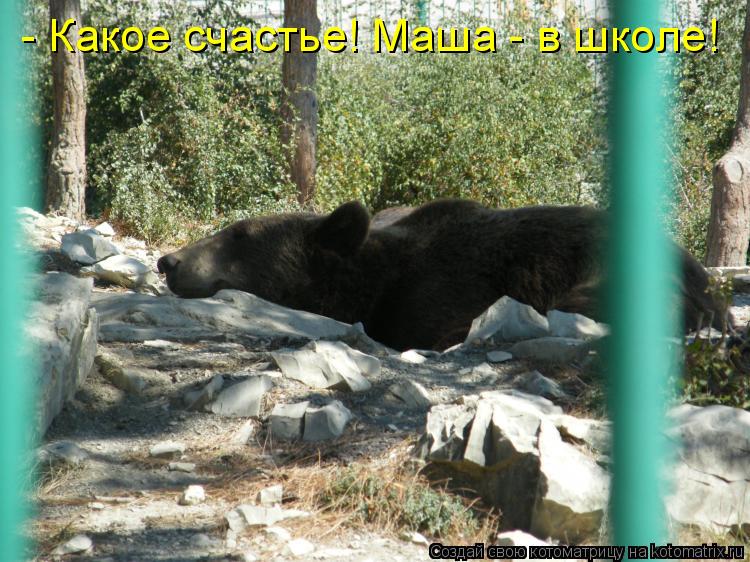 - Какое счастье! Маша - в школе!... Котоматрица: - Какое счастье! Маша - в школе!