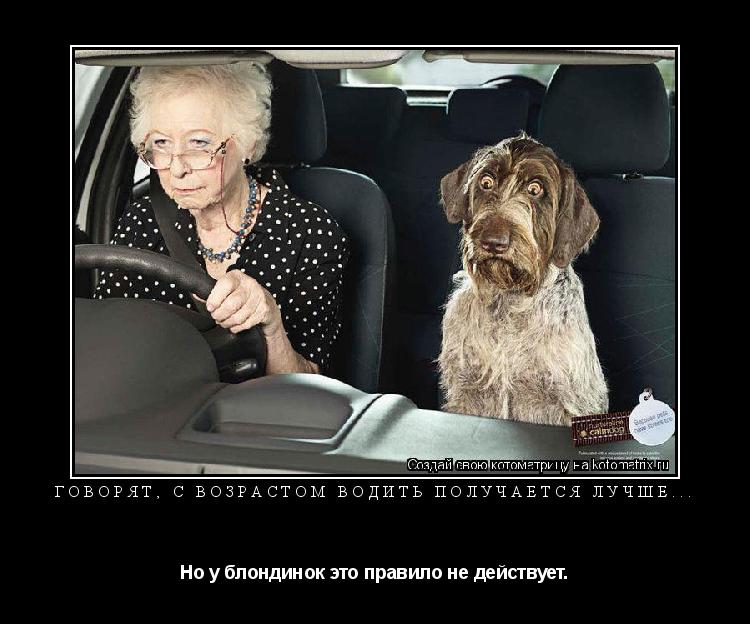 Говорят, с возрастом водить получается лучше... Но у блондинок это правило не действует.... Котоматрица: Говорят, с возрастом водить получается лучше... Но у блондинок это правило не действует.