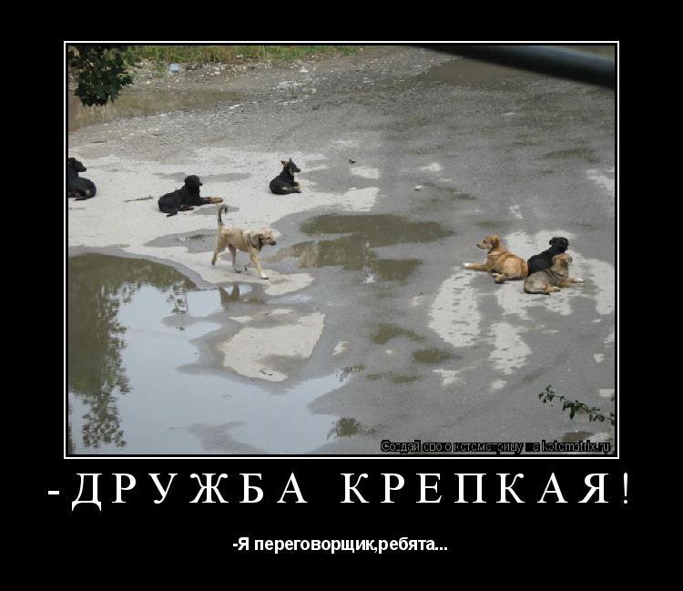 -Дружба крепкая! -Я переговорщик,ребята...... Котоматрица: -Дружба крепкая! -Я переговорщик,ребята...
