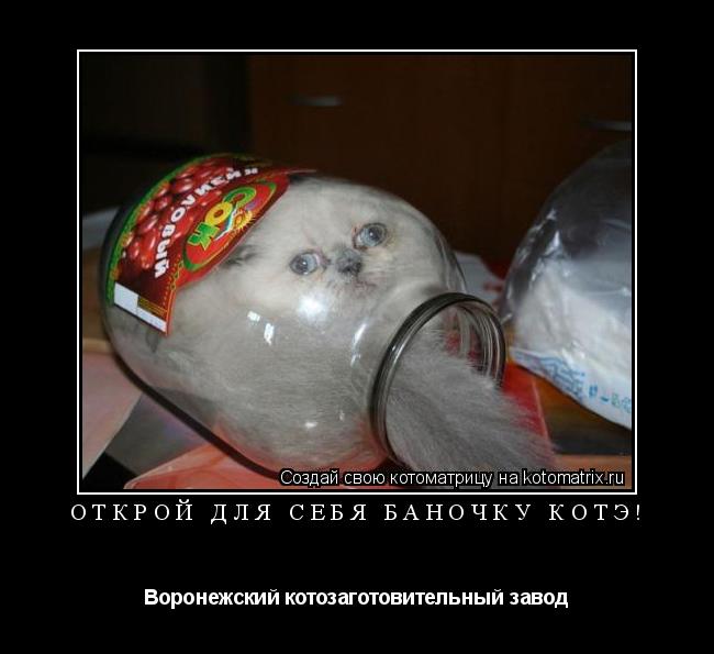 открой для себя баночку Котэ! Воронежский котозаготовительный завод... Котоматрица: открой для себя баночку Котэ! Воронежский котозаготовительный завод