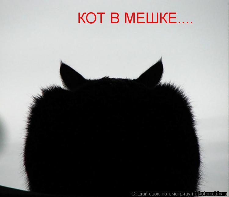 КОТ В МЕШКЕ....... Котоматрица: КОТ В МЕШКЕ....