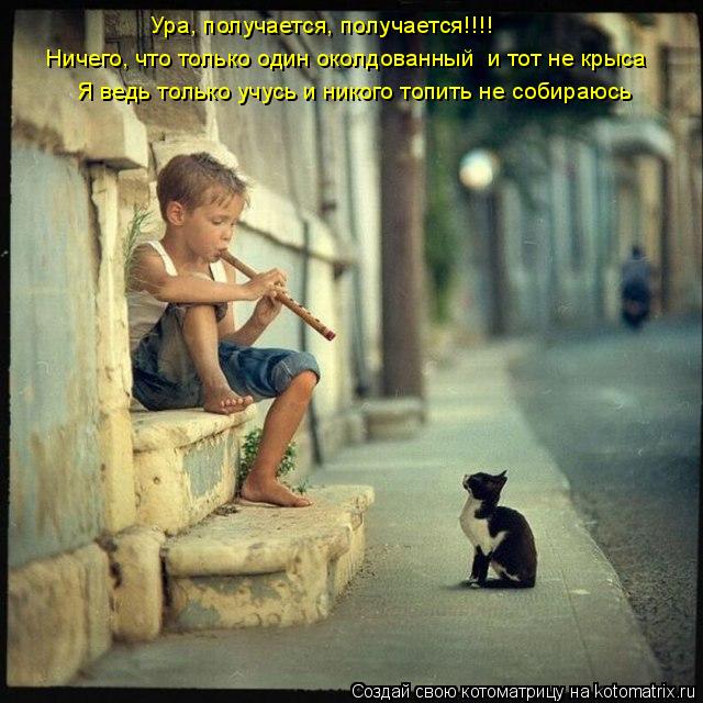 Ура, получается, получается!!!! Ничего, что только один околдованный и тот не крыса Я ведь только уч... Котоматрица: Ура, получается, получается!!!! Ничего, что только один околдованный и тот не крыса Я ведь только учусь и никого топить не собираюсь