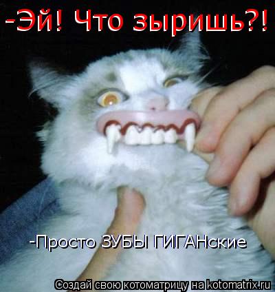 -Эй! Что зыришь?! -Просто ЗУБЫ ГИГАНские -Просто ЗУБЫ ГИГАНские -Эй! Что зыришь?! -Эй! Что зыришь?!... Котоматрица: -Эй! Что зыришь?! -Просто ЗУБЫ ГИГАНские -Просто ЗУБЫ ГИГАНские -Эй! Что зыришь?! -Эй! Что зыришь?!