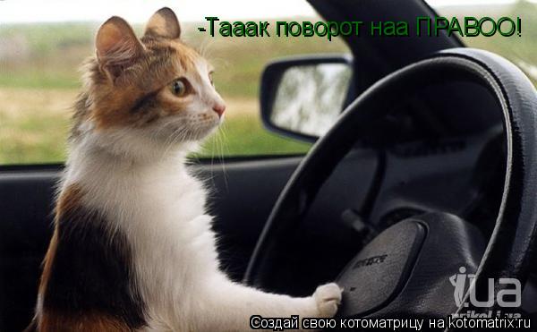 -Тааак поворот наа ПРАВОО!... Котоматрица: -Тааак поворот наа ПРАВОО!