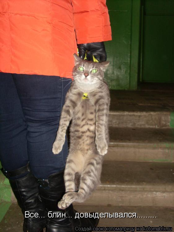 Все... блин... довыделывался............ Котоматрица: Все... блин... довыделывался.........