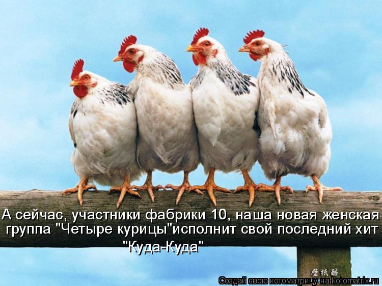А сейчас, участники фабрики 10, наша новая женская группа "Четыре курицы"исполнит свой последний хи... Котоматрица: А сейчас, участники фабрики 10, наша новая женская группа "Четыре курицы"исполнит свой последний хит "Куда-Куда"