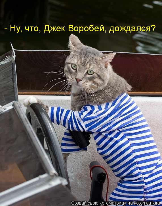 - Ну, что, Джек Воробей, дождался?... Котоматрица: - Ну, что, Джек Воробей, дождался?
