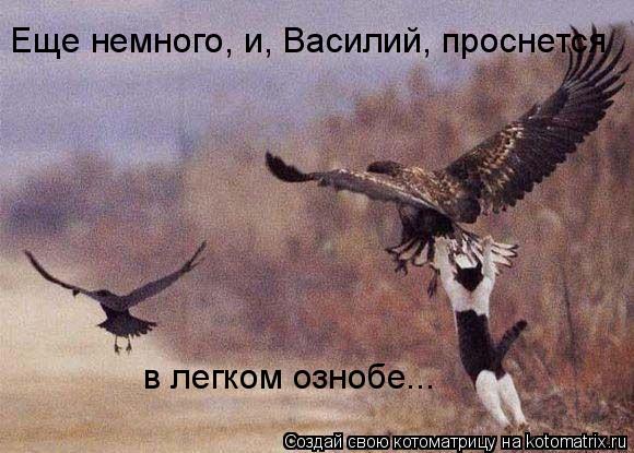 Еще немного, и, Василий, проснется в легком ознобе...... Котоматрица: Еще немного, и, Василий, проснется в легком ознобе...