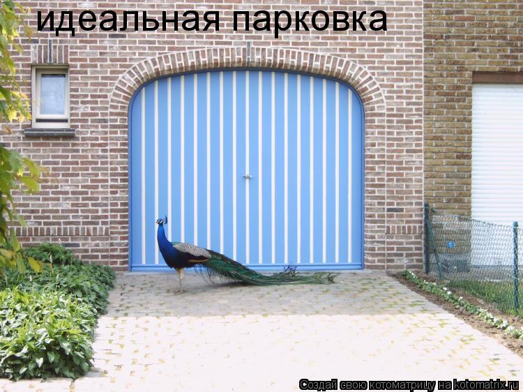 Котоматрица: идеальная парковка