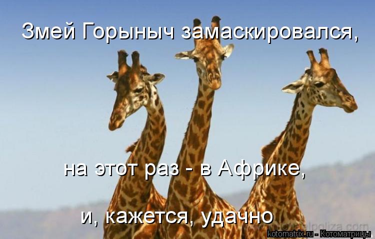 Котоматрица: Змей Горыныч замаскировался, на этот раз - в Африке, и, кажется, удачно